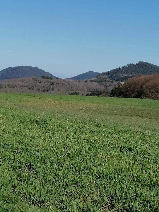 Air Paix Le Mont Villa Herpelmont Dış mekan fotoğraf