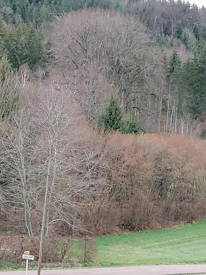 Air Paix Le Mont Villa Herpelmont Dış mekan fotoğraf